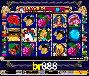 VIP Casino br888